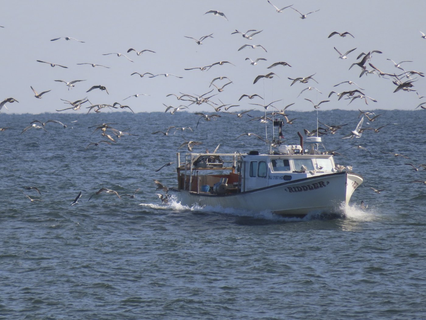 Flood gates are dropped from a plan to protect the Jersey Shore's back bays from catastrophic storms | iNFOnews.ca Flood gates are dropped from a plan to protect the Jersey Shore's back bays from catastrophic storms | iNFOnews.ca