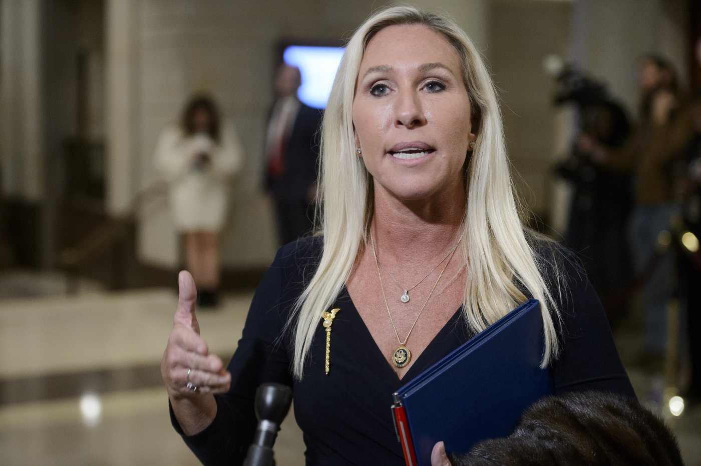 Elon Musk and Vivek Ramaswamy bring Trump's DOGE to Capitol Hill | iNFOnews.ca