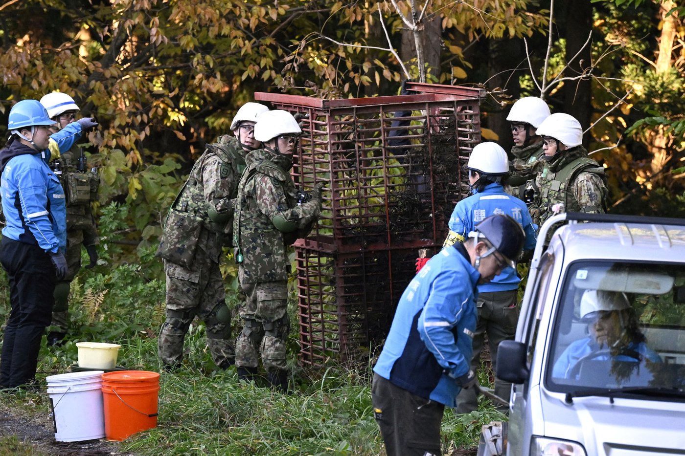 Japan deploys the military to counter a surge in bear attacks | iNFOnews.ca