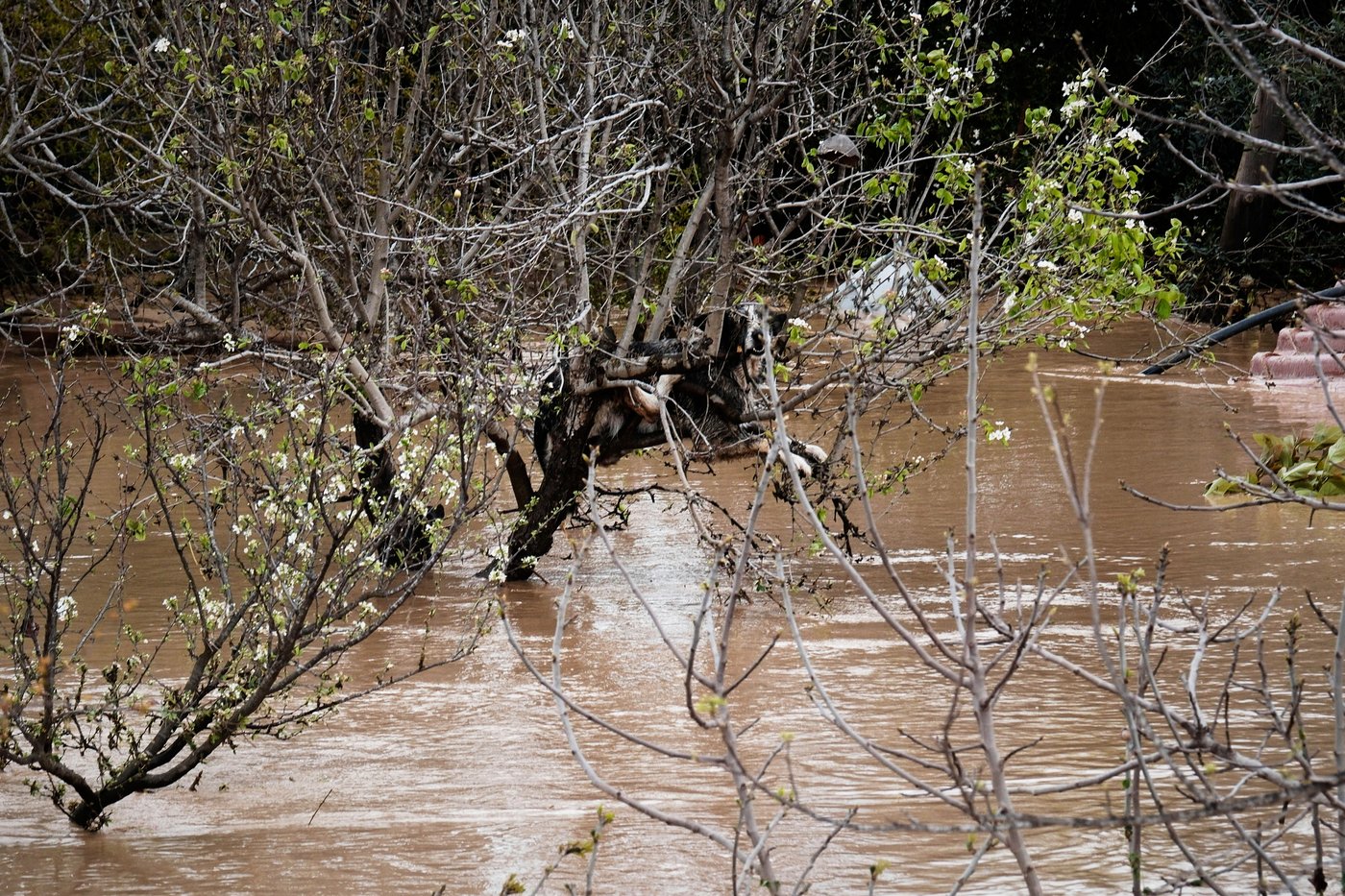PHOTO COLLECTION: Extreme Weather Spain Floods | iNFOnews.ca PHOTO COLLECTION: Extreme Weather Spain Floods | iNFOnews.ca
