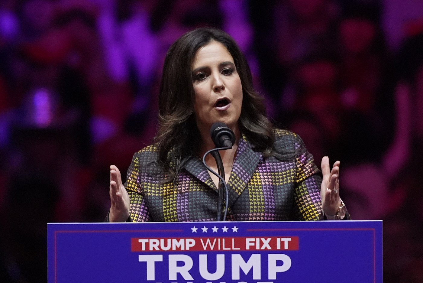 Trump chooses New York Rep. Elise Stefanik as ambassador to United Nations | iNFOnews.ca Trump chooses New York Rep. Elise Stefanik as ambassador to United Nations | iNFOnews.ca