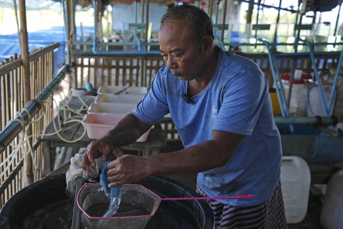 Cambodian fishermen turn to raising eels as Tonle Sap lake runs out of fish | iNFOnews.ca