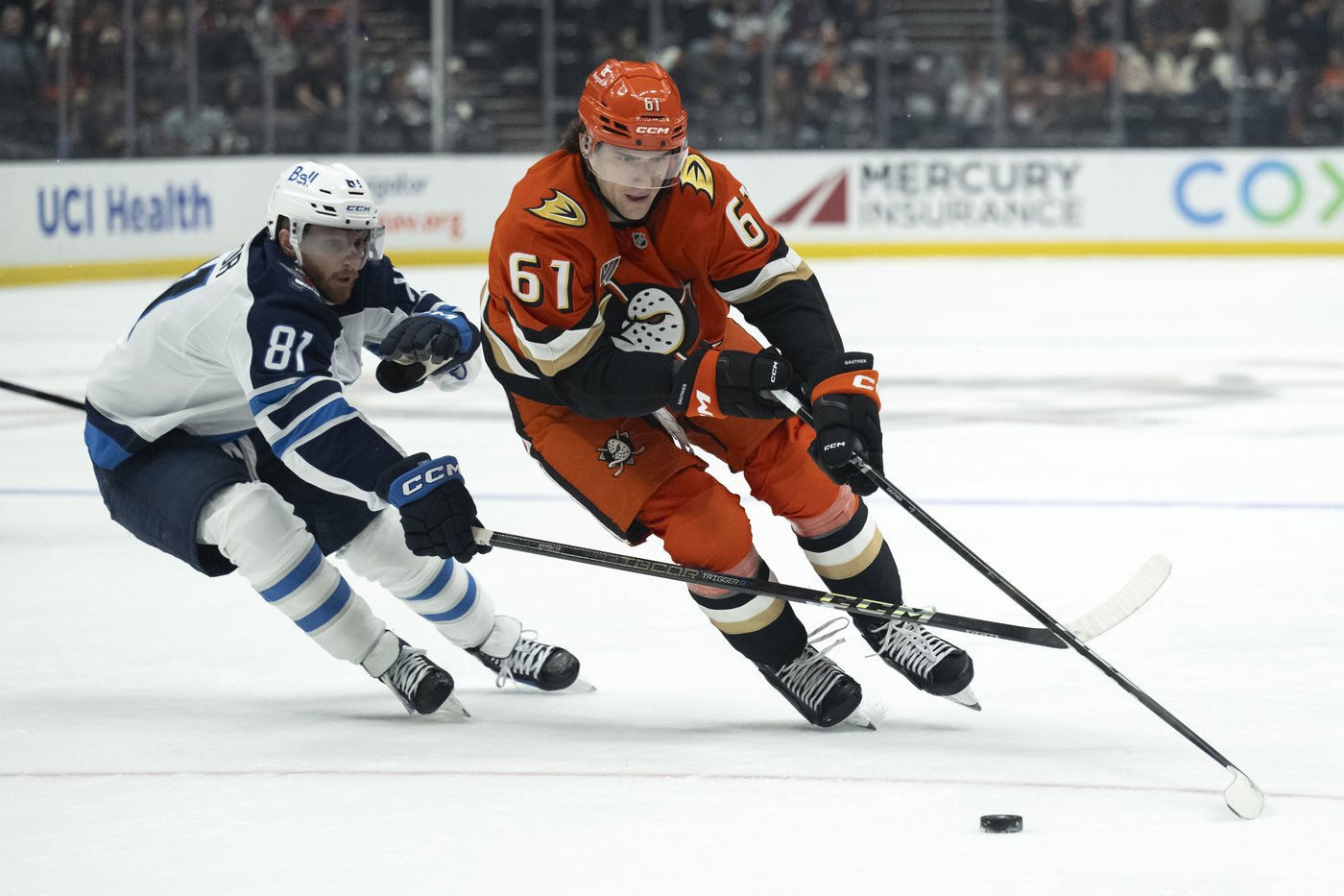 Troy Terry gets last-minute winner, Ducks' late rally stuns NHL-best Winnipeg 3-2 | iNFOnews.ca