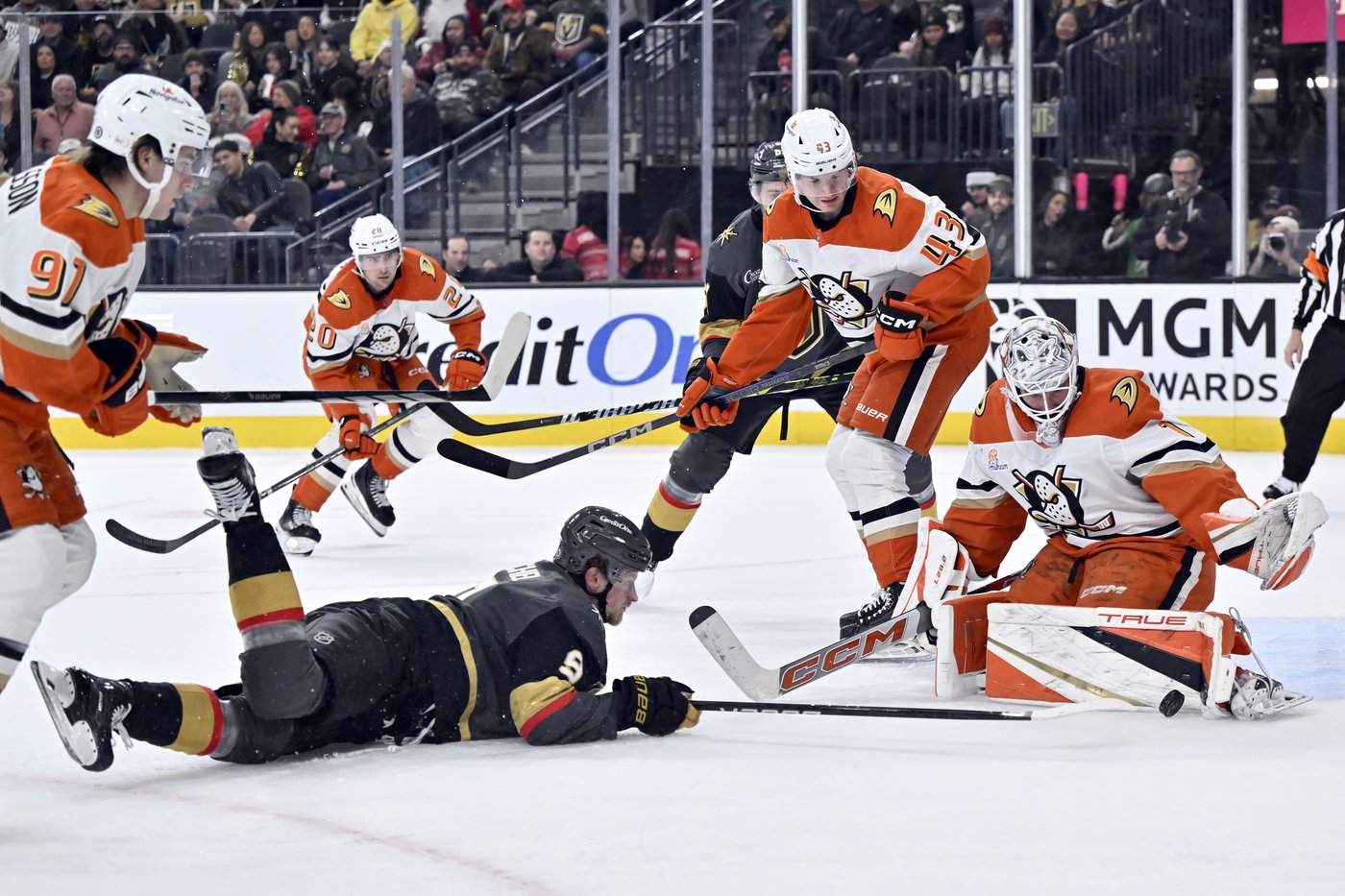 Hertl scores decisive goal as Golden Knights beat Ducks 3-1 | iNFOnews.ca Hertl scores decisive goal as Golden Knights beat Ducks 3-1 | iNFOnews.ca