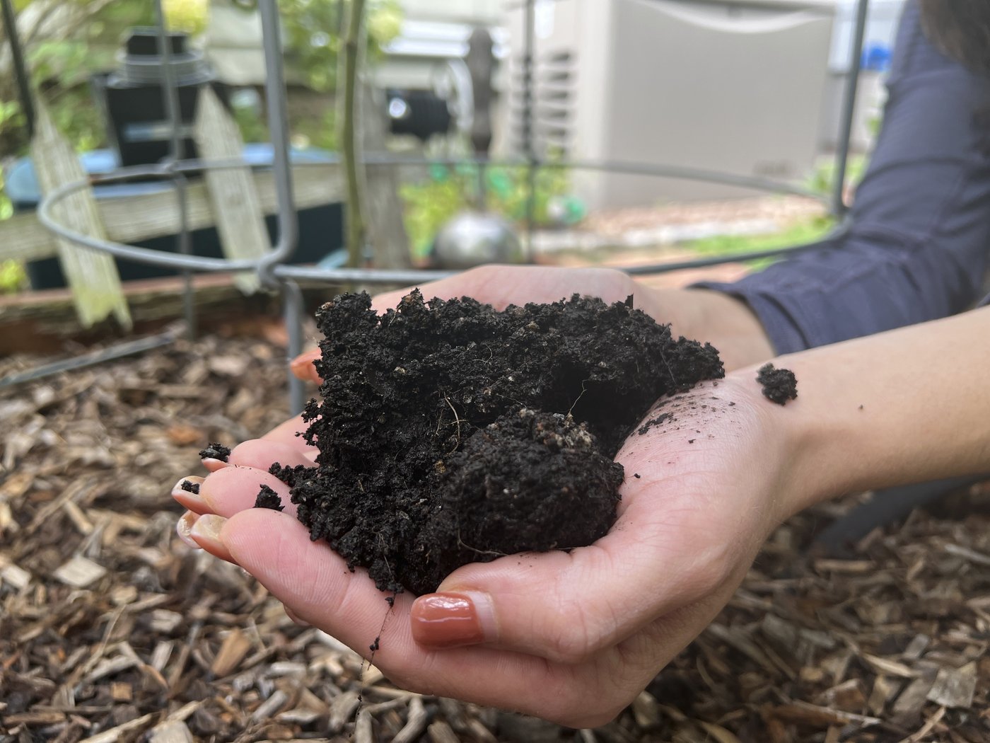 Gardening's hidden benefits: How digging in the dirt could bolster mental wellbeing | iNFOnews.ca