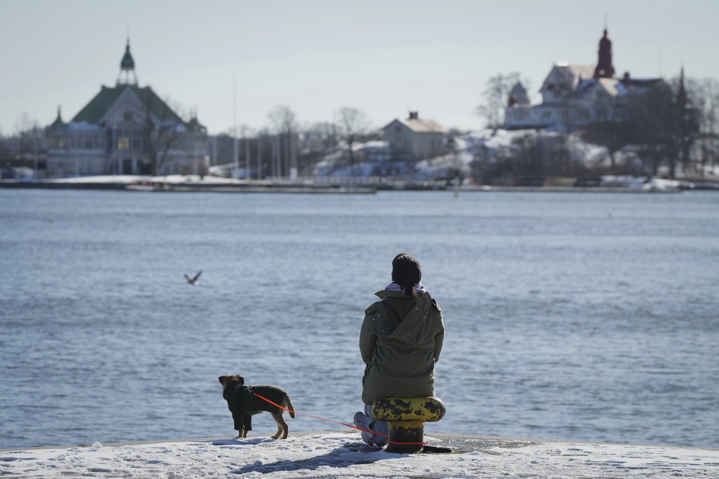 Finland is again ranked the happiest country in the world. The US falls to its lowest-ever position | iNFOnews.ca Finland is again ranked the happiest country in the world. The US falls to its lowest-ever position | iNFOnews.ca