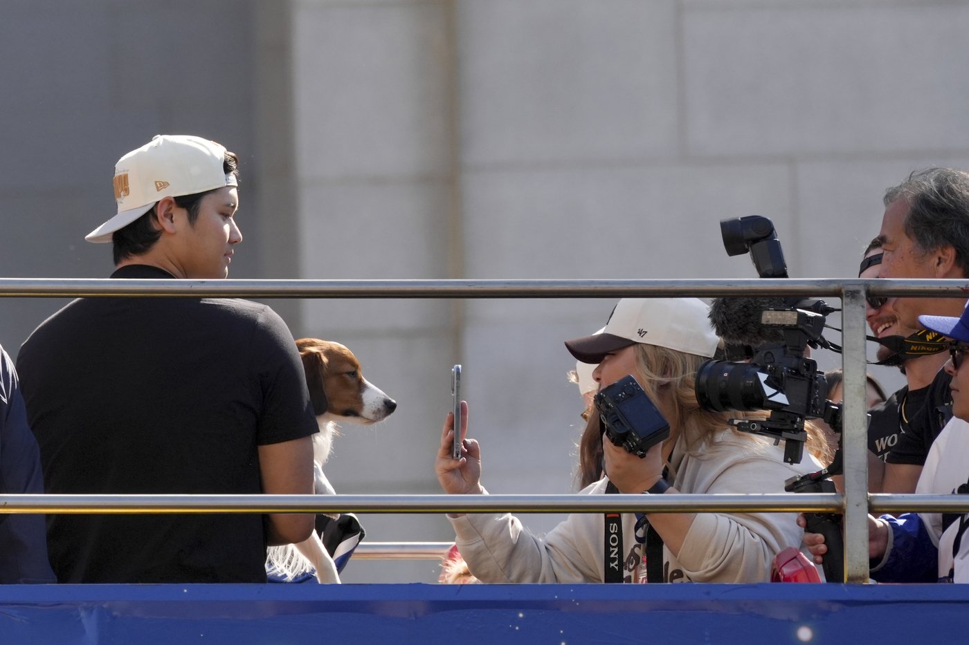 Meet Decoy Ohtani, perhaps the most valuable pet of the World Series | iNFOnews.ca