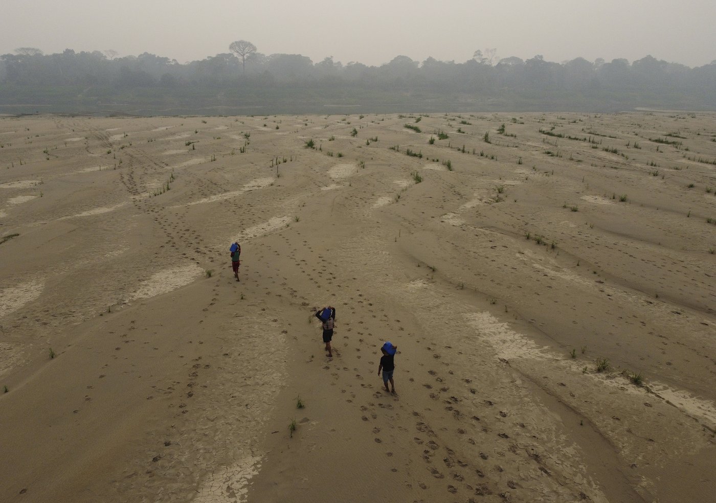Drought, fires and deforestation battered Amazon rainforest in 2024 | iNFOnews.ca