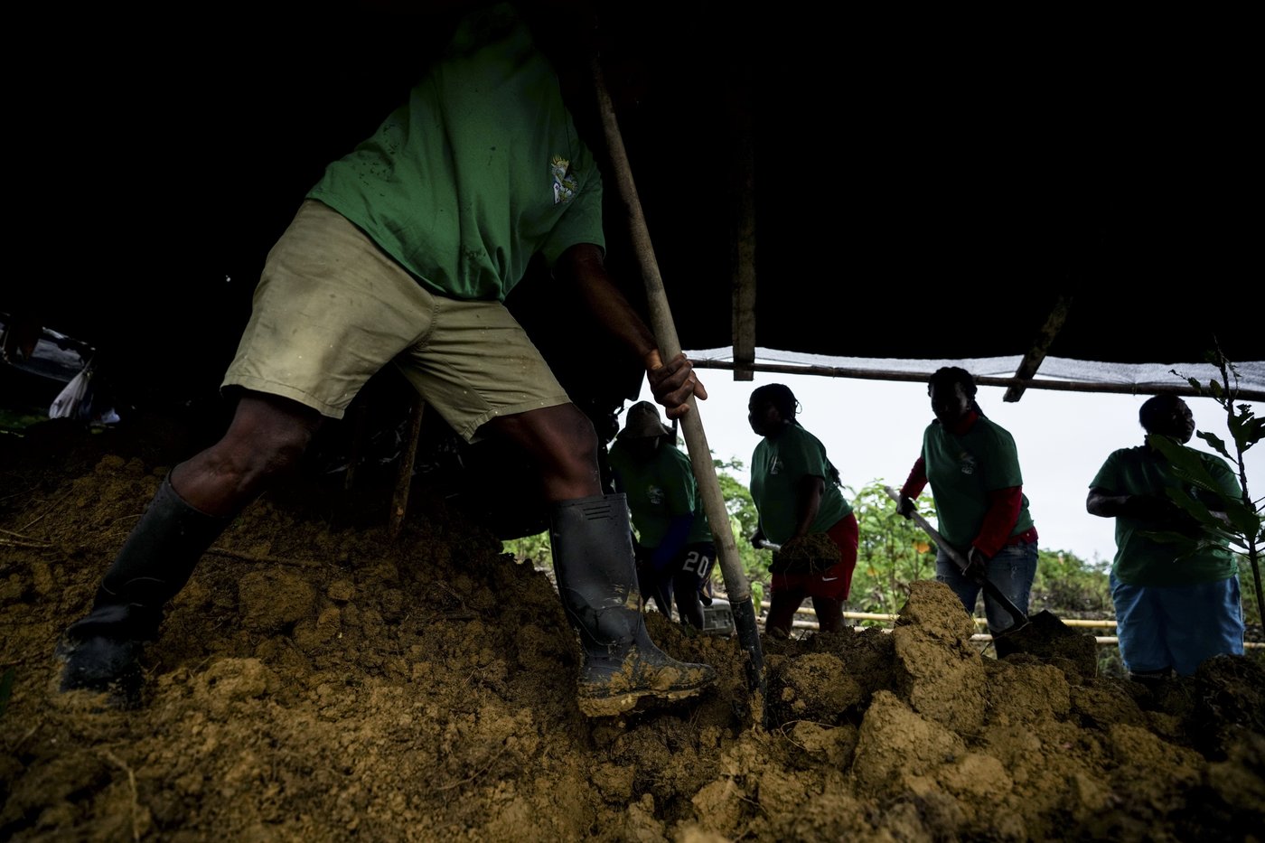 Afro-Colombians fight the effects of gold mining through biodiversity projects in a violent region | iNFOnews.ca Afro-Colombians fight the effects of gold mining through biodiversity projects in a violent region | iNFOnews.ca