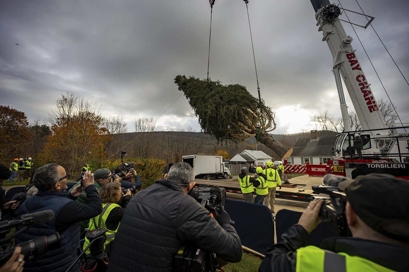 A green giant: This year's 74-foot Rockefeller Christmas tree is en route from Massachusetts | iNFOnews.ca