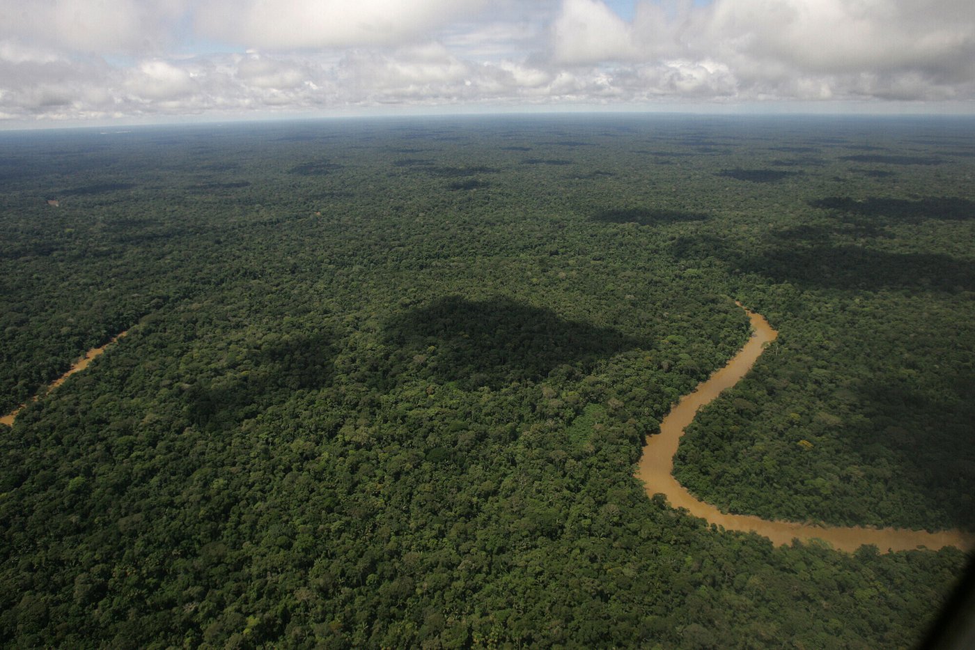In Ecuador, environmentalists worry Noboa is unwinding nation's green reputation | iNFOnews.ca