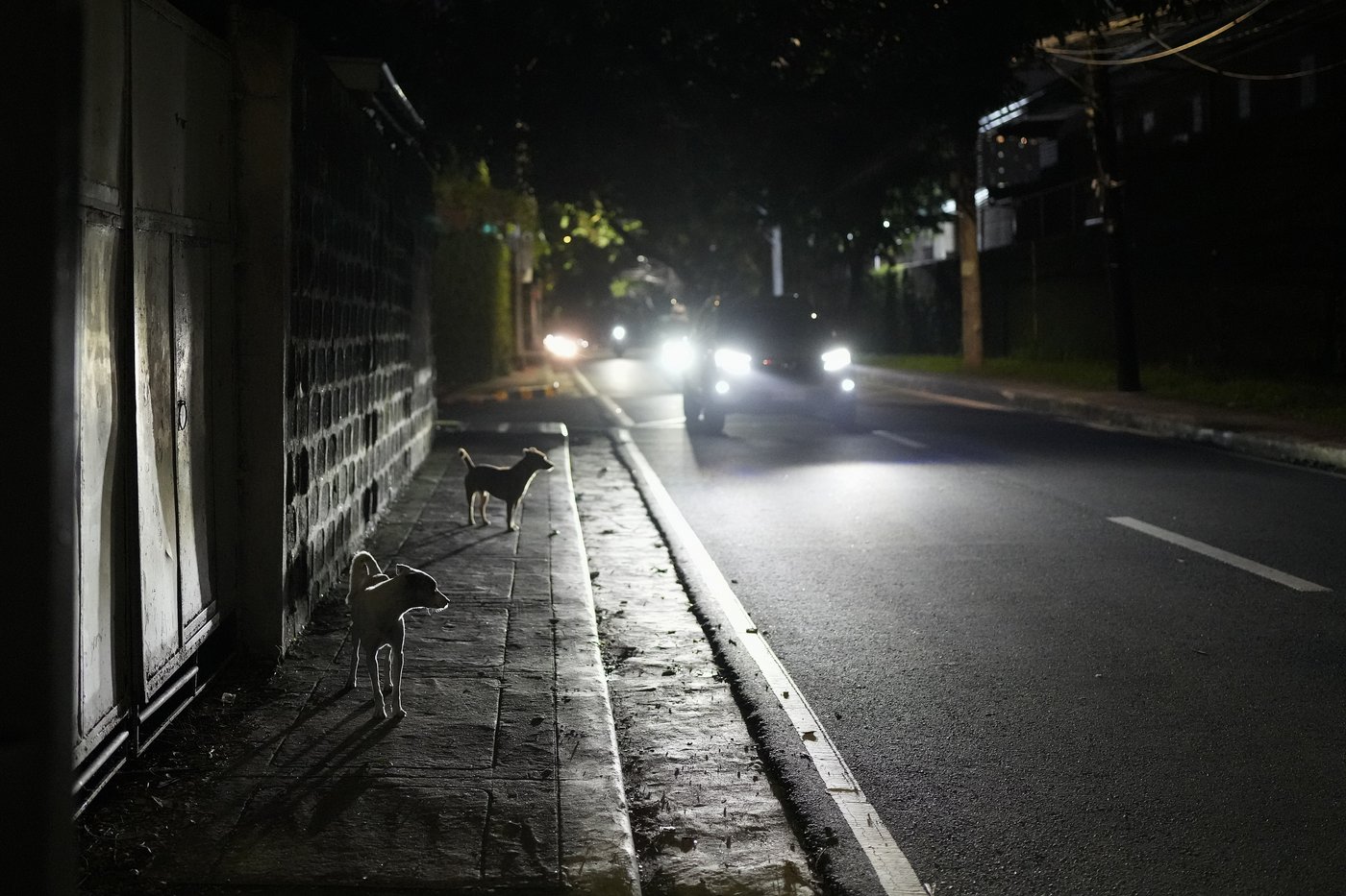 It's spooky season. Here are some scary stories from around the world you probably haven't heard | iNFOnews.ca