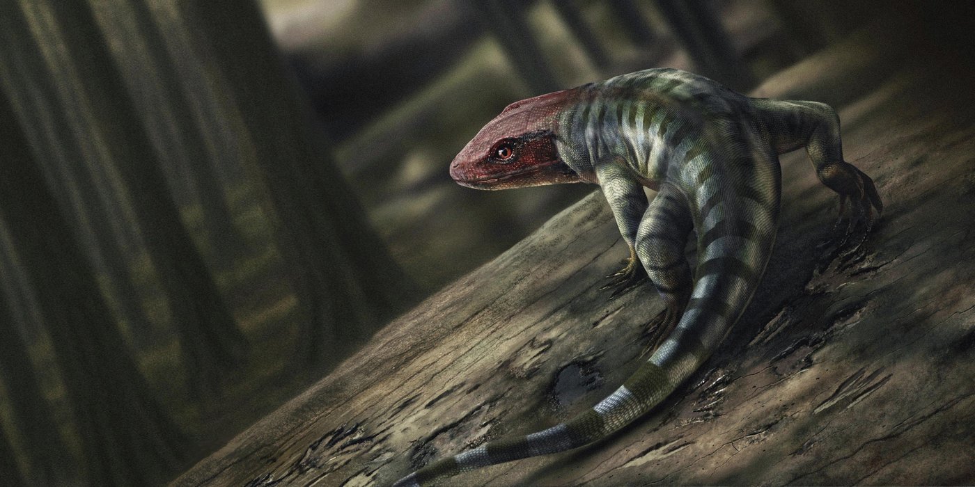 How ancient reptile footprints are rewriting the history of when animals evolved to live on land | iNFOnews.ca