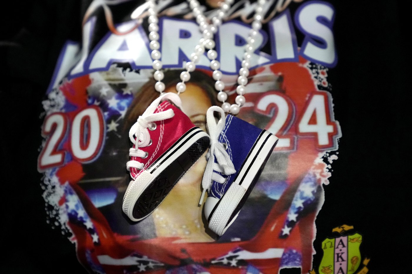 Harris and Trump will both make a furious last-day push before Election Day | iNFOnews.ca