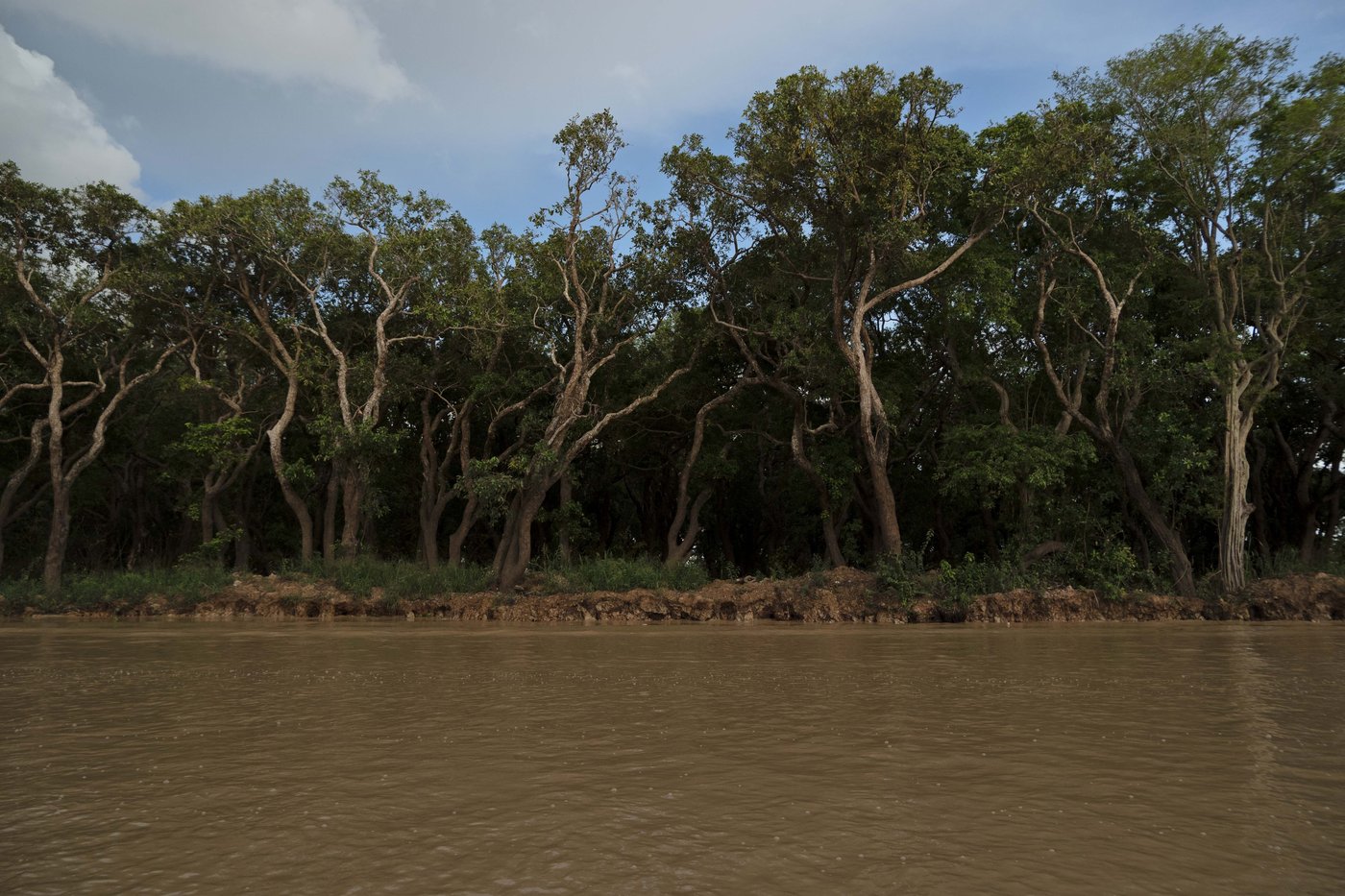 Cambodian fishermen turn to raising eels as Tonle Sap lake runs out of fish | iNFOnews.ca