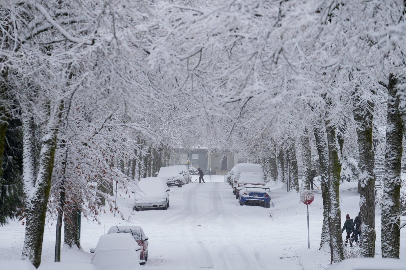 Winter storm watch issued as snow, heavy rain expected for B.C. coast | iNFOnews.ca