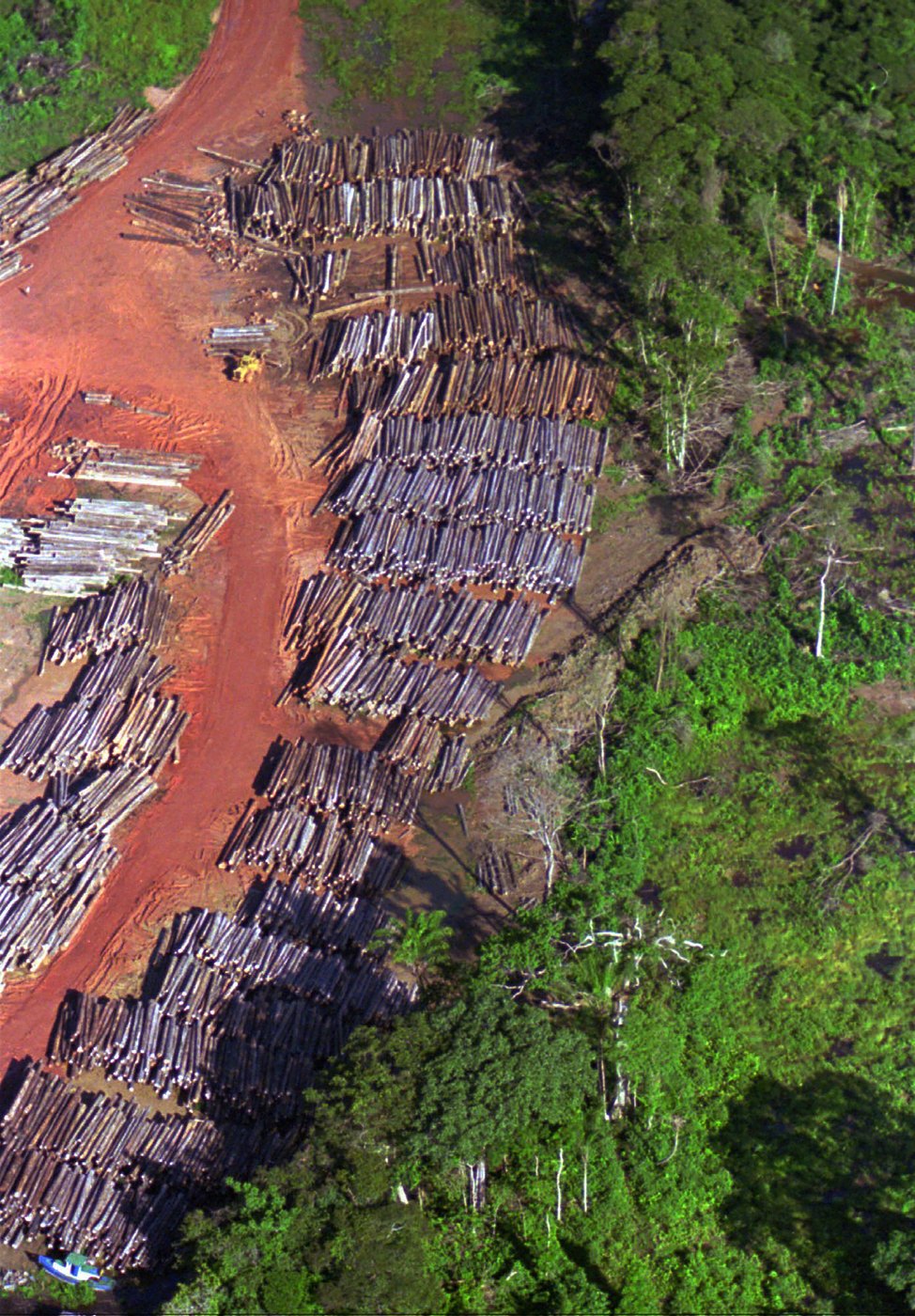 Suriname pledges to shield 90% of forests, far beyond global conservation goal | iNFOnews.ca