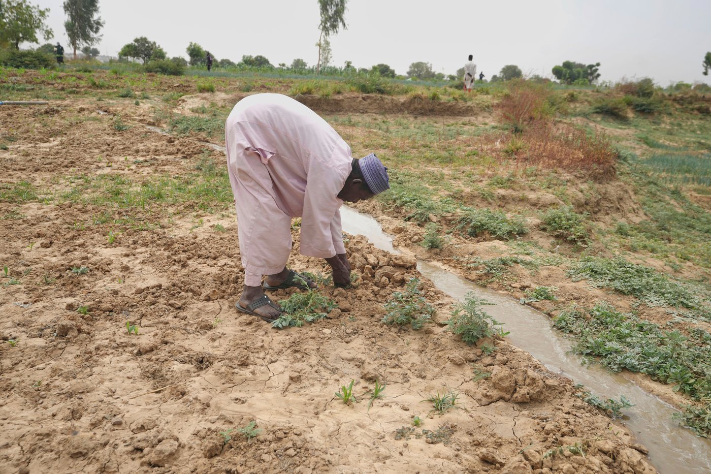 Nigeria has a food security problem as water for crops is harder to find | iNFOnews.ca Nigeria has a food security problem as water for crops is harder to find | iNFOnews.ca