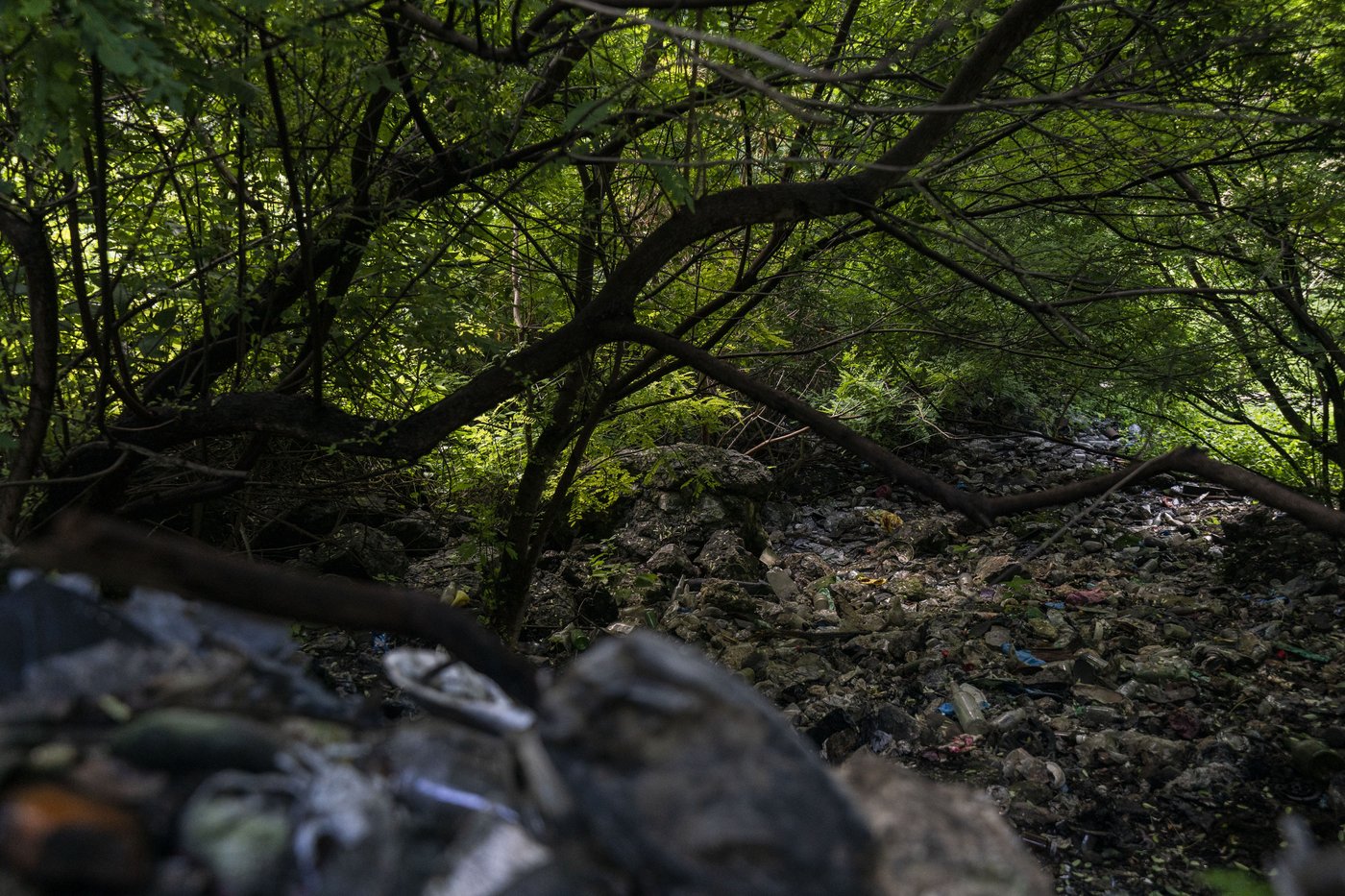 The night when 43 students disappeared in Mexico: A timeline of key events | iNFOnews.ca