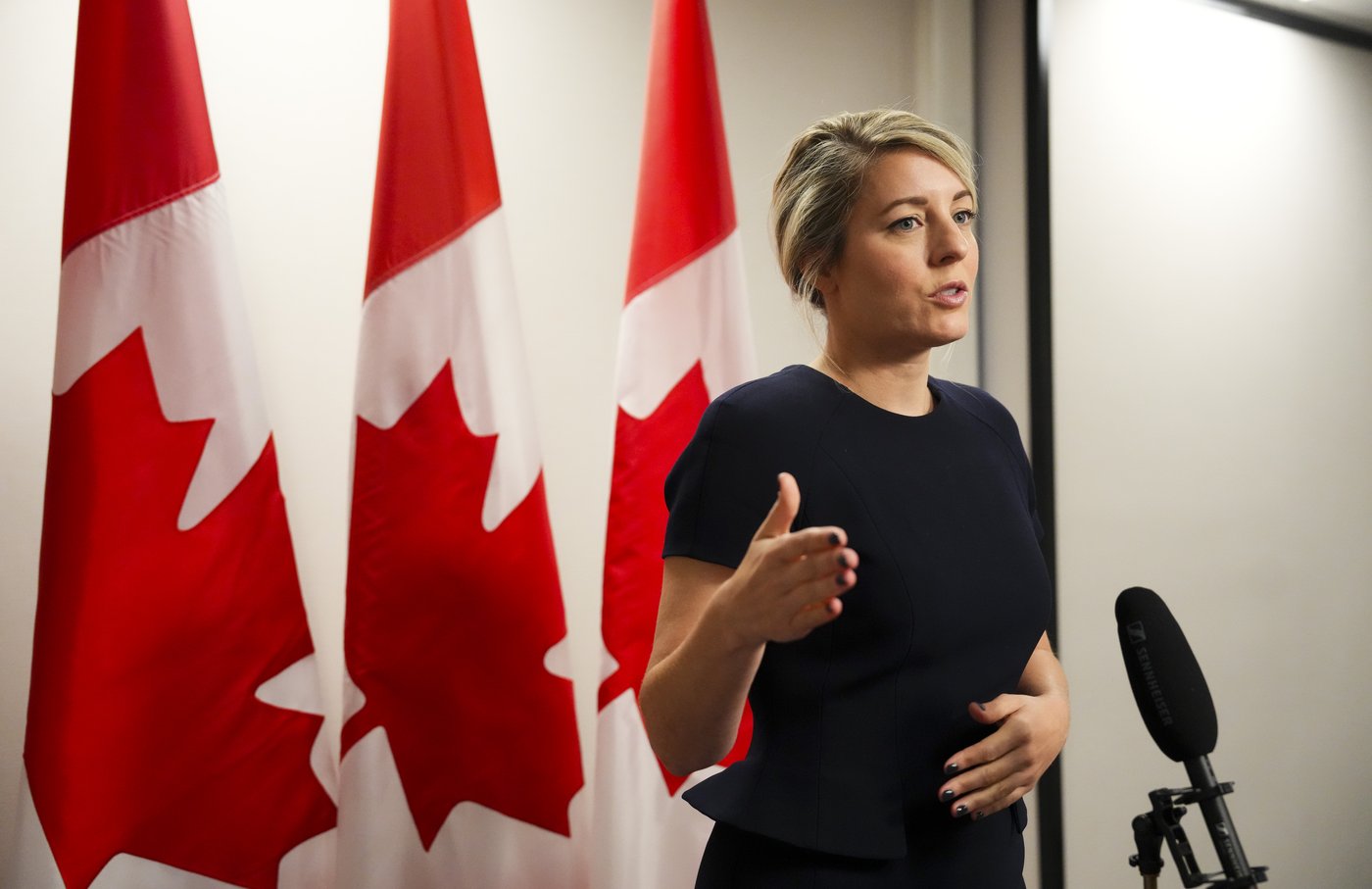 Mélanie Joly plans to meet with Lebanese minister at Francophonie summit | iNFOnews.ca Mélanie Joly plans to meet with Lebanese minister at Francophonie summit | iNFOnews.ca