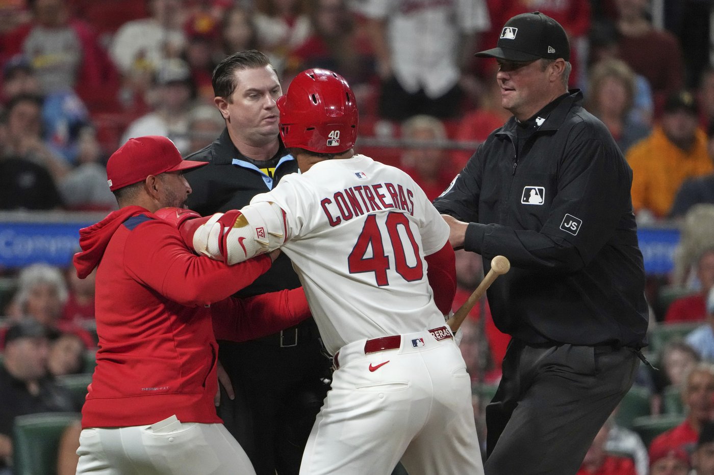 Willson Contreras ejected, hits own coach with bat in Cardinals' win over Pirates | iNFOnews.ca Willson Contreras ejected, hits own coach with bat in Cardinals' win over Pirates | iNFOnews.ca