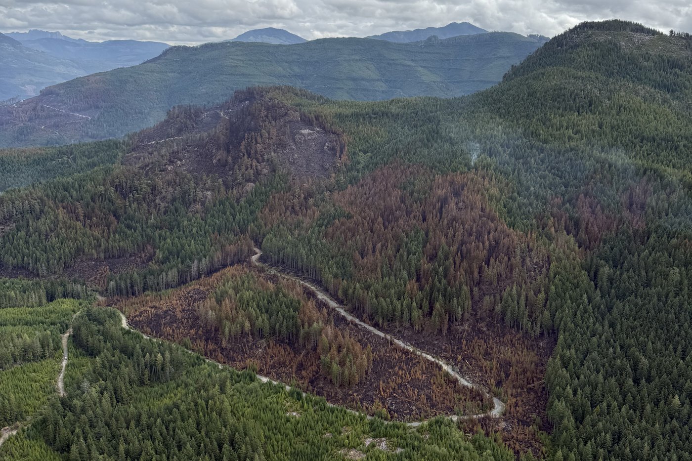 Vancouver Island wildfire downgraded again, no longer a fire of note | iNFOnews.ca Vancouver Island wildfire downgraded again, no longer a fire of note | iNFOnews.ca
