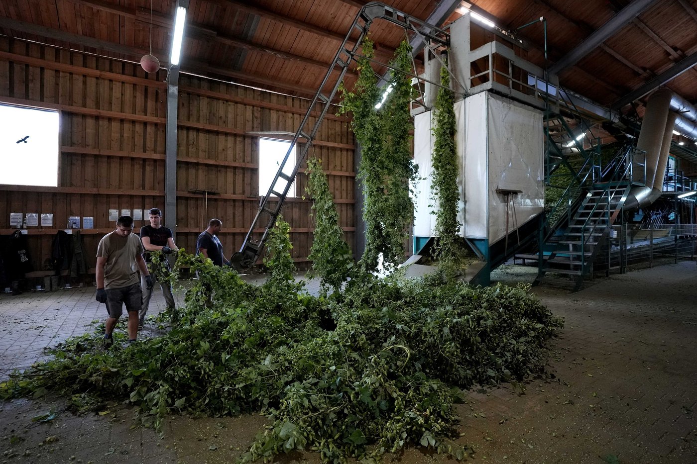 Brewing a cold beer on a warming planet is hard. Germany uses education to fight climate change | iNFOnews.ca Brewing a cold beer on a warming planet is hard. Germany uses education to fight climate change | iNFOnews.ca