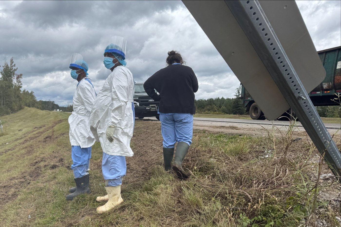 2nd escaped monkey fatally shot, leaving 1 monkey still on the loose after Mississippi crash | iNFOnews.ca