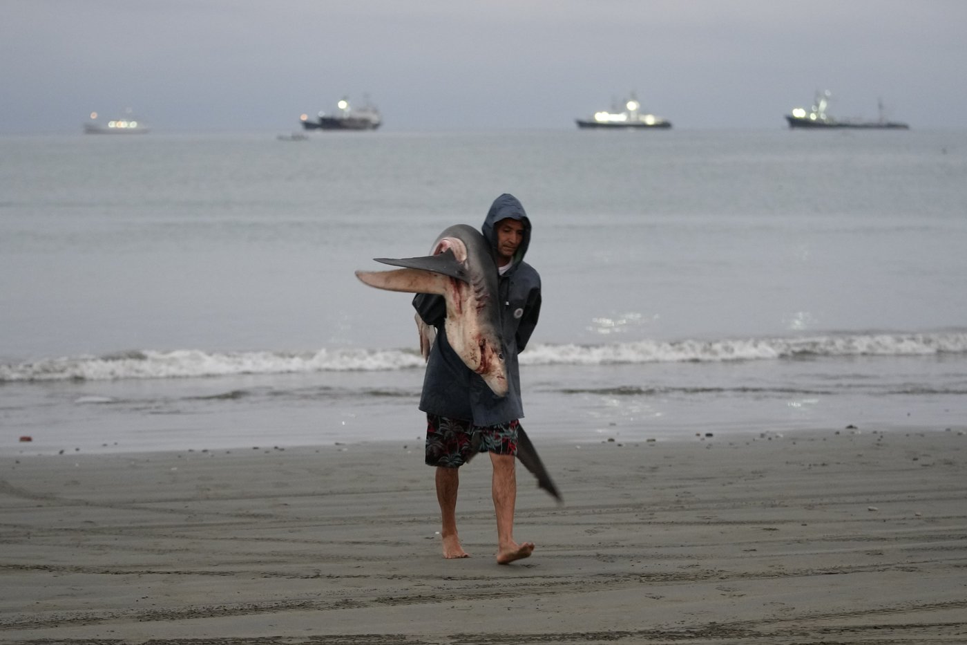 Desperation over gang violence fuels a surge of migration from Ecuador to the US | iNFOnews.ca