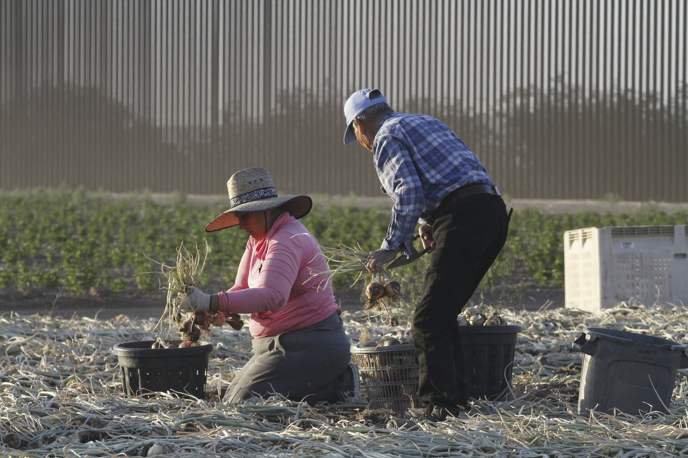 Takeaways: US military expands enforcement zone to 1/3 of southern border | iNFOnews.ca