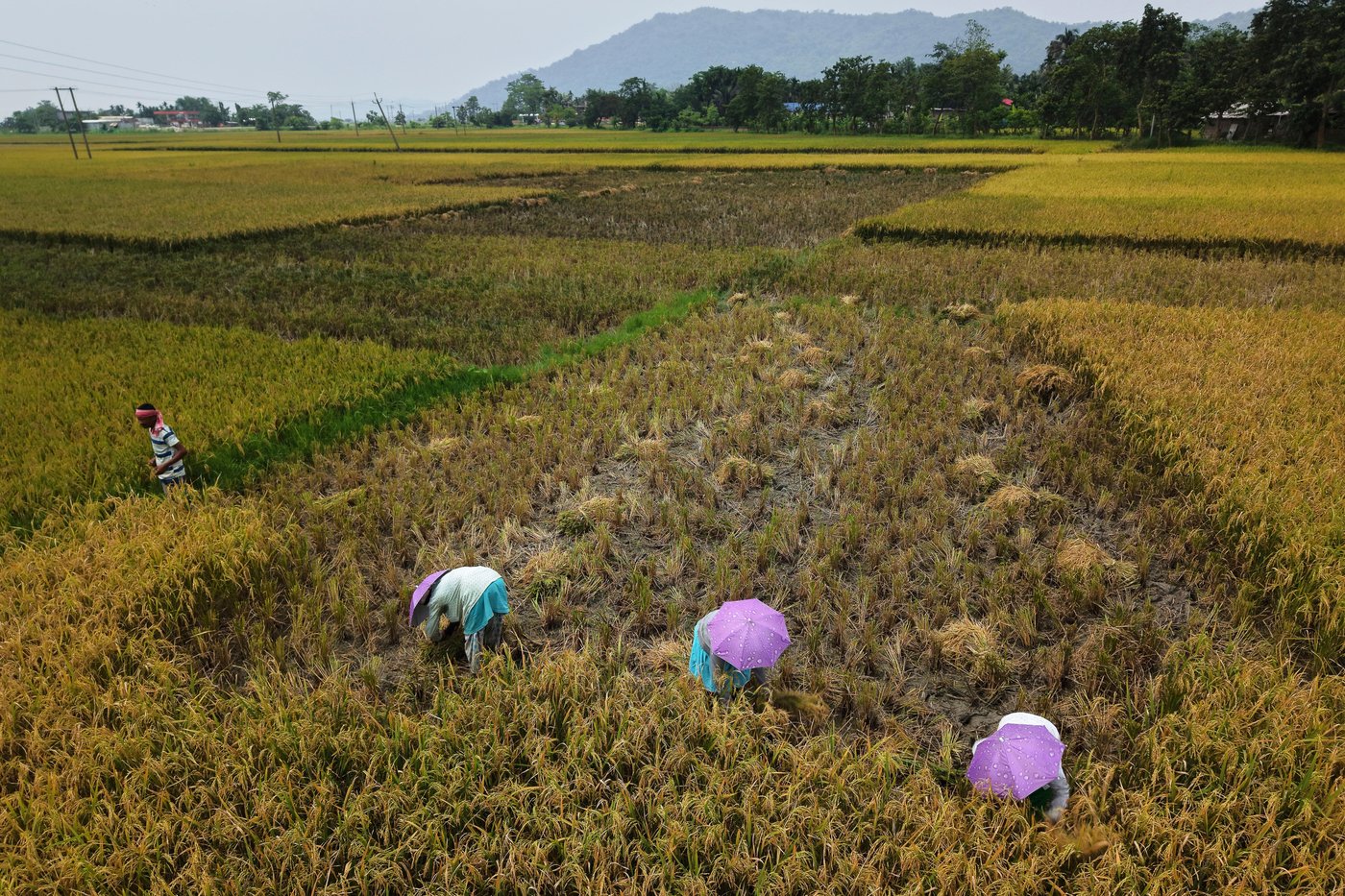 A recipe for avoiding 15 million deaths a year and climate disaster is fixing food, scientists say | iNFOnews.ca A recipe for avoiding 15 million deaths a year and climate disaster is fixing food, scientists say | iNFOnews.ca