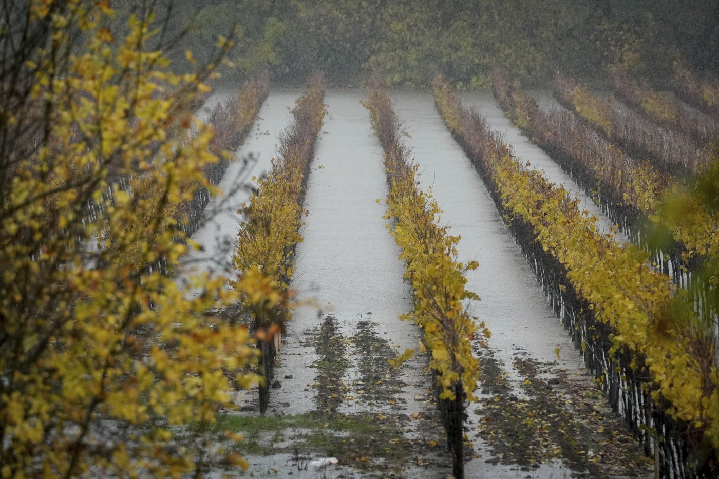 Northern California gets record rain and heavy snow. Many have been in the dark for days in Seattle | iNFOnews.ca Northern California gets record rain and heavy snow. Many have been in the dark for days in Seattle | iNFOnews.ca