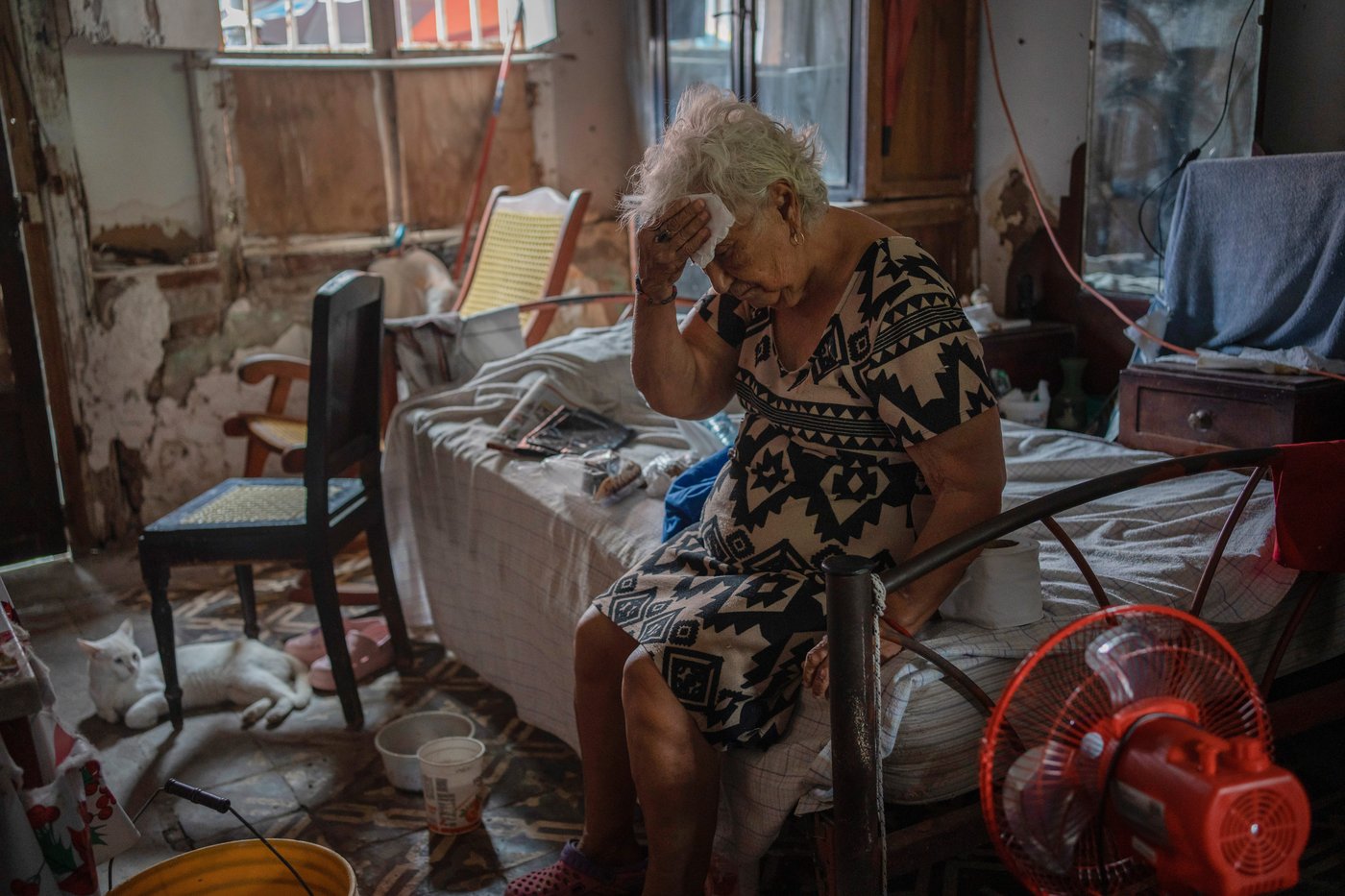 PHOTOS OF THE YEAR: Through photographers' lenses, an epic catalog of humanity in 2024 emerges | iNFOnews.ca