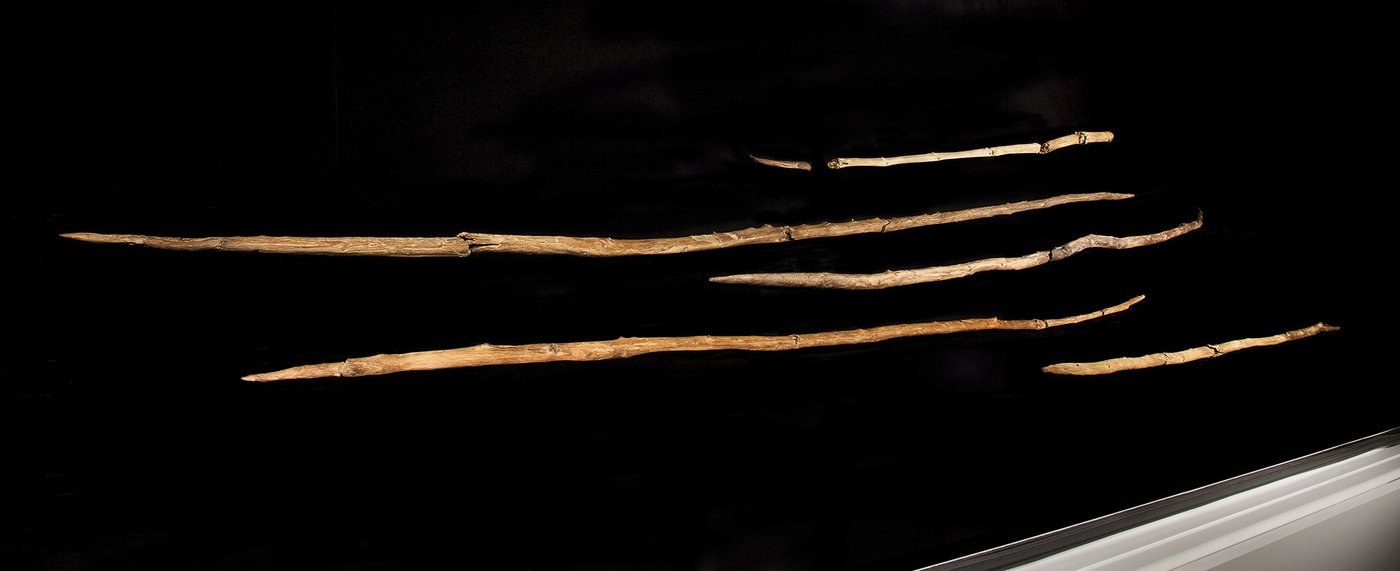 Ancient wooden spears found in Germany may have been wielded by Neanderthals, a new study suggests | iNFOnews.ca