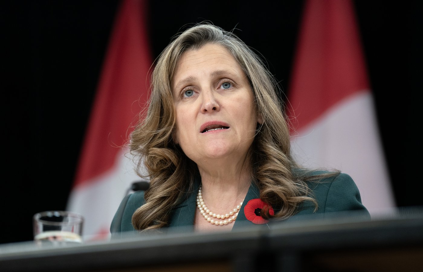 Liberals want pregnancy counselling charities to disclose if they offer abortion help | iNFOnews.ca Liberals want pregnancy counselling charities to disclose if they offer abortion help | iNFOnews.ca