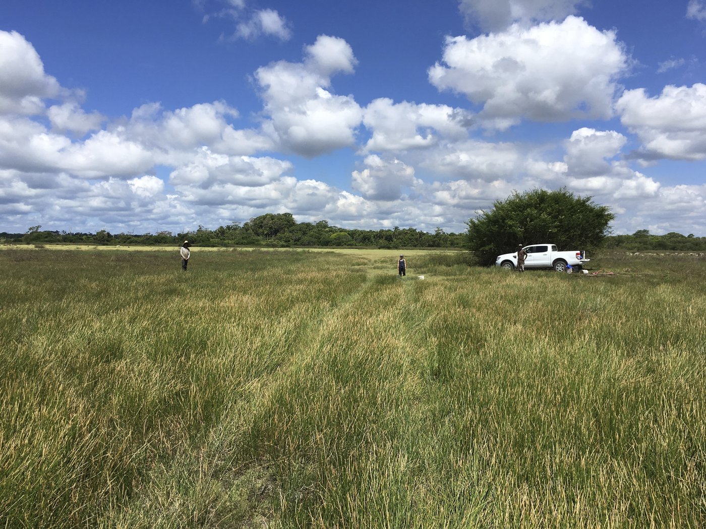 Archaeologists discover 4,000-year-old canals used to fish by predecessors of ancient Maya | iNFOnews.ca Archaeologists discover 4,000-year-old canals used to fish by predecessors of ancient Maya | iNFOnews.ca