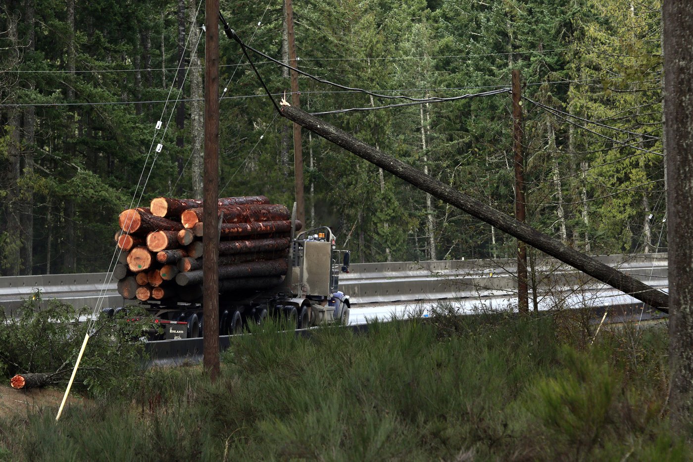 Bomb cyclone batters B.C., cutting roads and power, snapping trees 'like gunshots' | iNFOnews.ca Bomb cyclone batters B.C., cutting roads and power, snapping trees 'like gunshots' | iNFOnews.ca