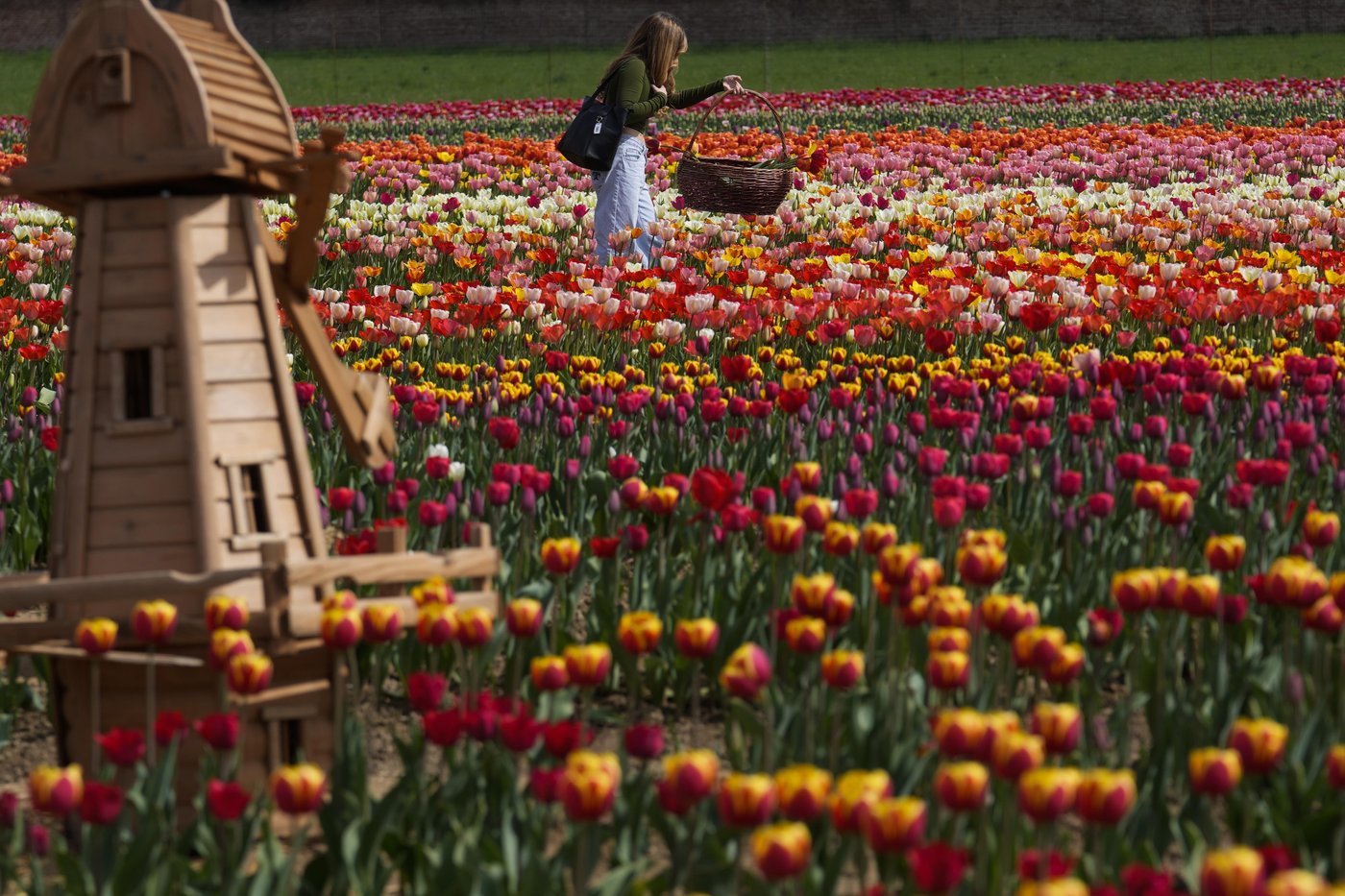 PHOTO COLLECTION: Spring | iNFOnews.ca