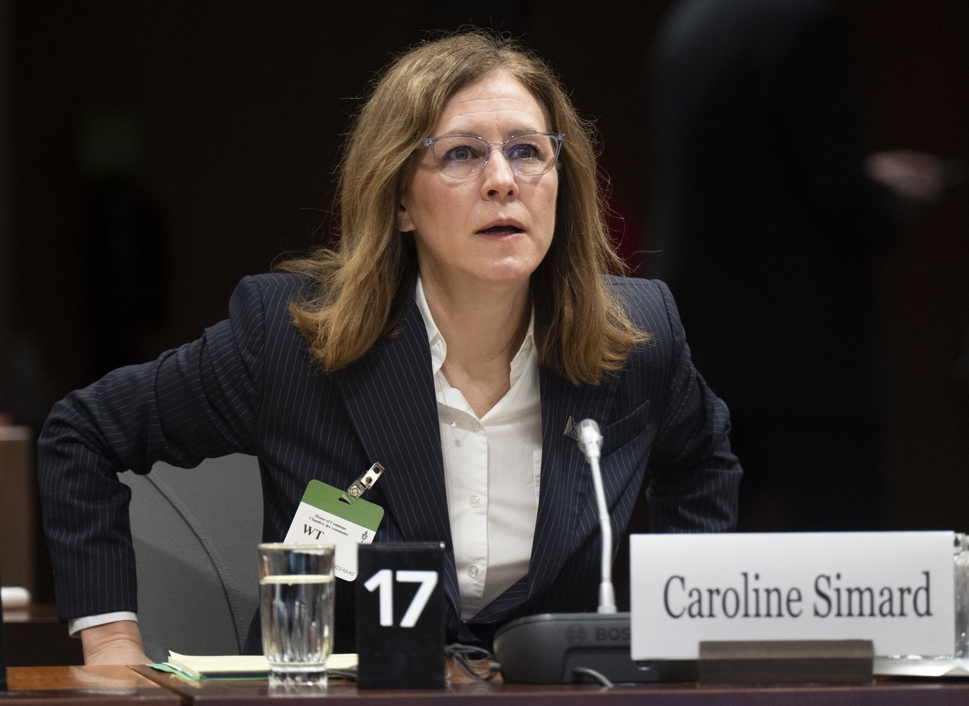 Review finds no case for formal probe of Beijing's activities under elections law | iNFOnews.ca Review finds no case for formal probe of Beijing's activities under elections law | iNFOnews.ca