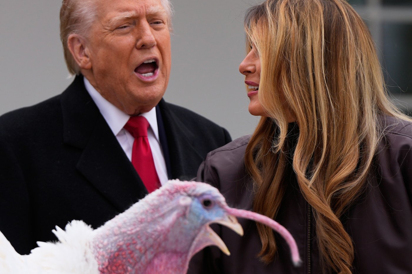 Trump spares turkeys - but not his political opponents - at annual pardoning ceremony | iNFOnews.ca Trump spares turkeys - but not his political opponents - at annual pardoning ceremony | iNFOnews.ca