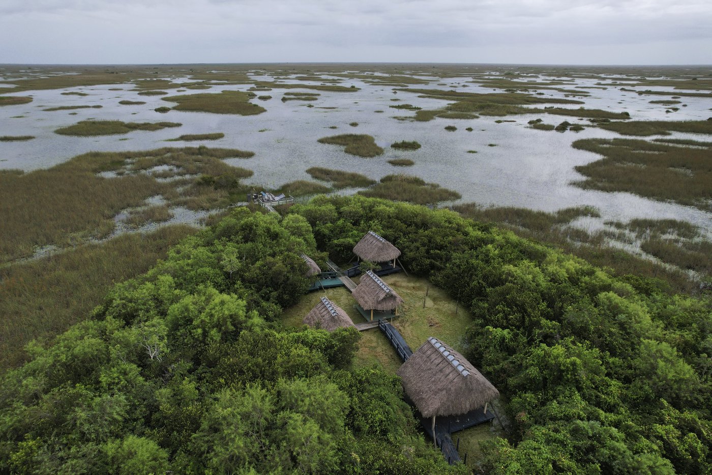 In Florida, the Miccosukee fight to protect the Everglades in the face of climate change | iNFOnews.ca