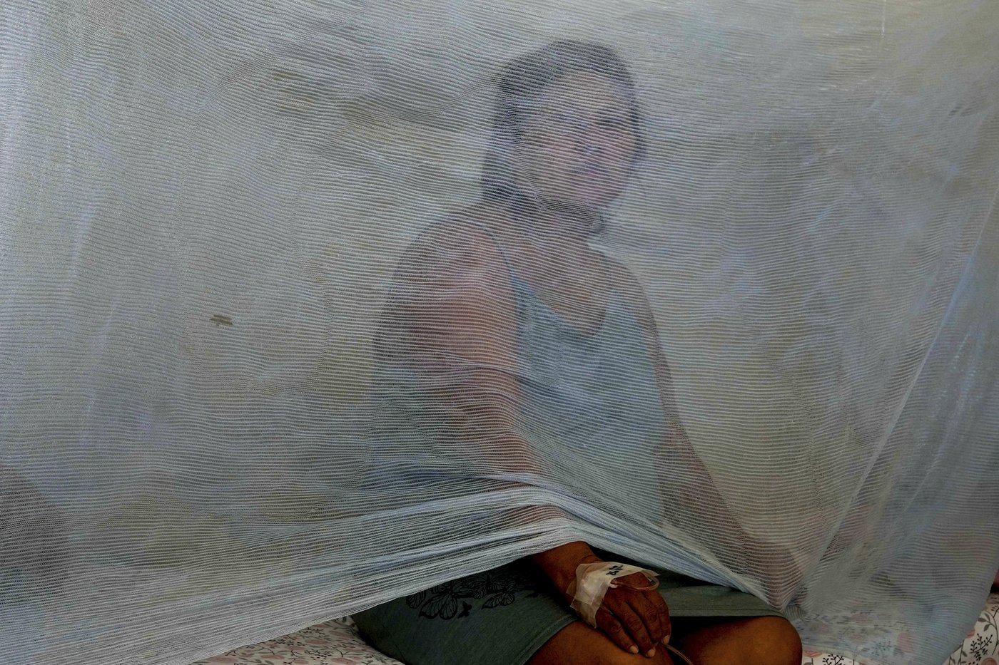 Dengue cases set a new record in the Americas this year as deaths also surge | iNFOnews.ca Dengue cases set a new record in the Americas this year as deaths also surge | iNFOnews.ca