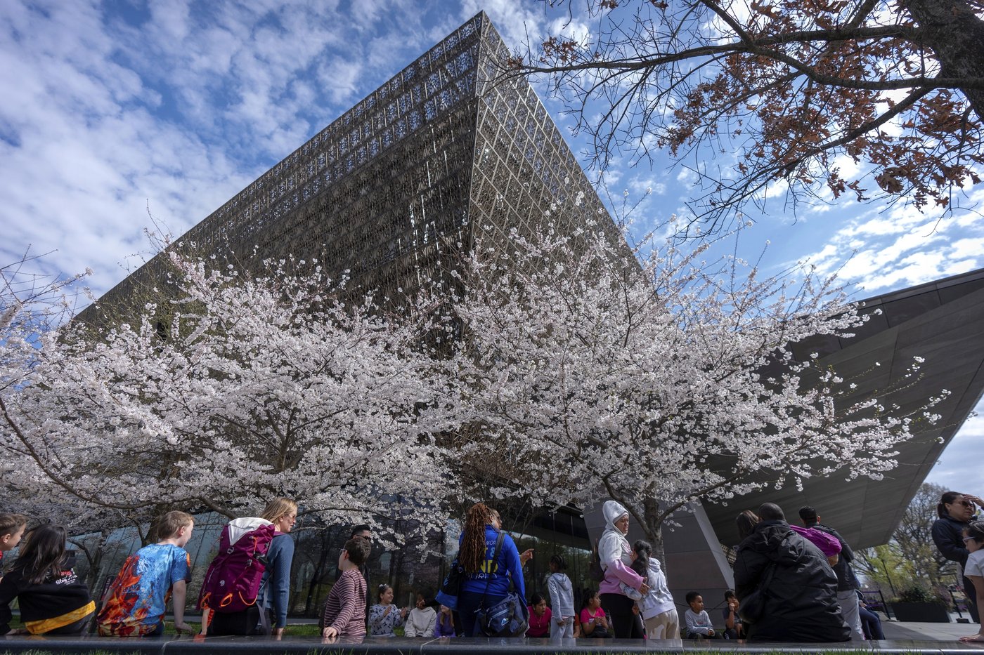 Prominent pastor notified books loaned to African American museum may be returned amid review | iNFOnews.ca