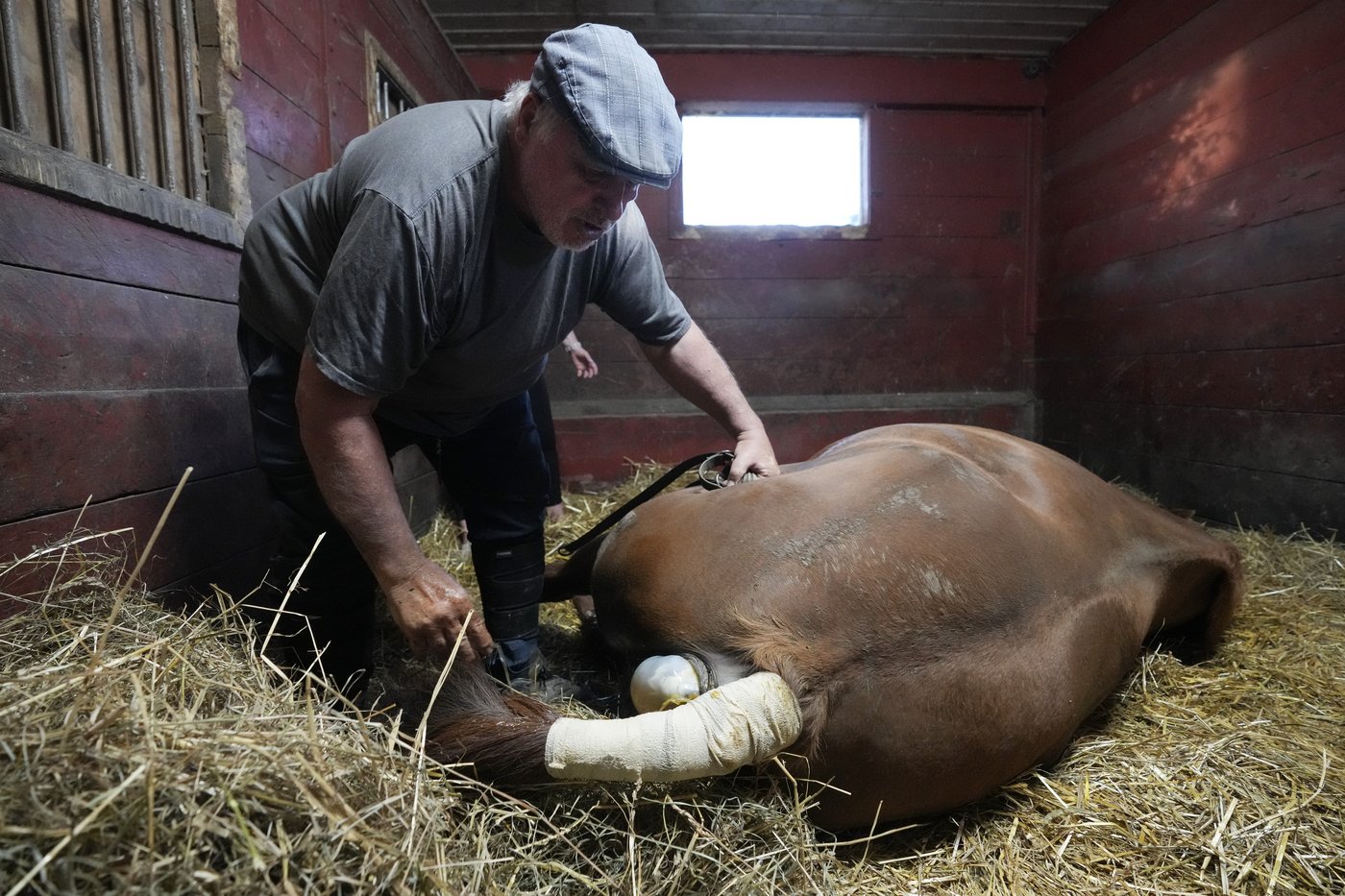 A perfect birth for Perfect 10. Silver Duck Stable helps birth another foal | iNFOnews.ca A perfect birth for Perfect 10. Silver Duck Stable helps birth another foal | iNFOnews.ca
