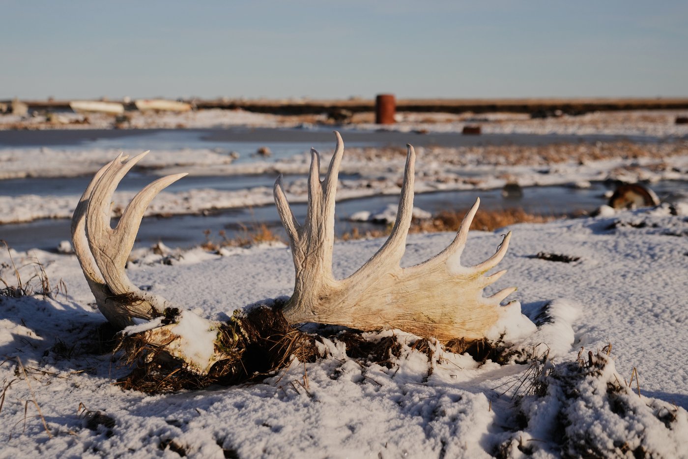 Photos of the aftermath of devastating floods in remote Alaska Native villages | iNFOnews.ca