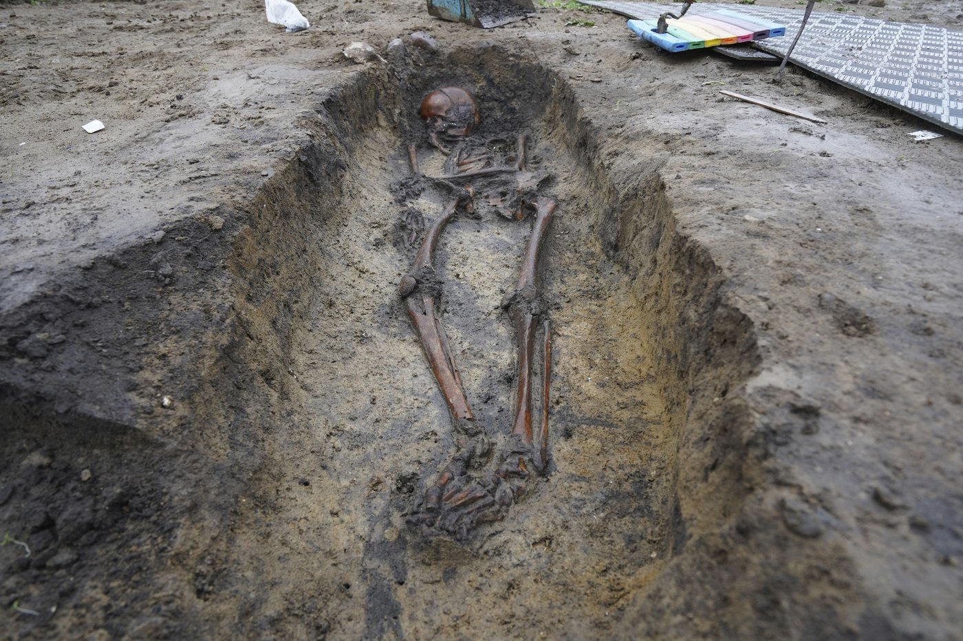 50 well-preserved Viking Age skeletons unearthed in Denmark | iNFOnews.ca 50 well-preserved Viking Age skeletons unearthed in Denmark | iNFOnews.ca