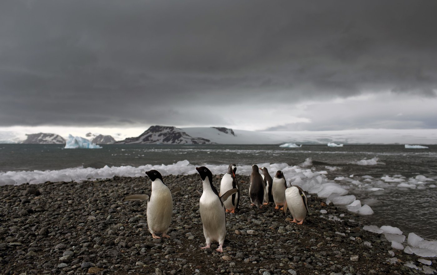 Fear at isolated Antarctica base as a man is accused of attacking a colleague and making threats | iNFOnews.ca