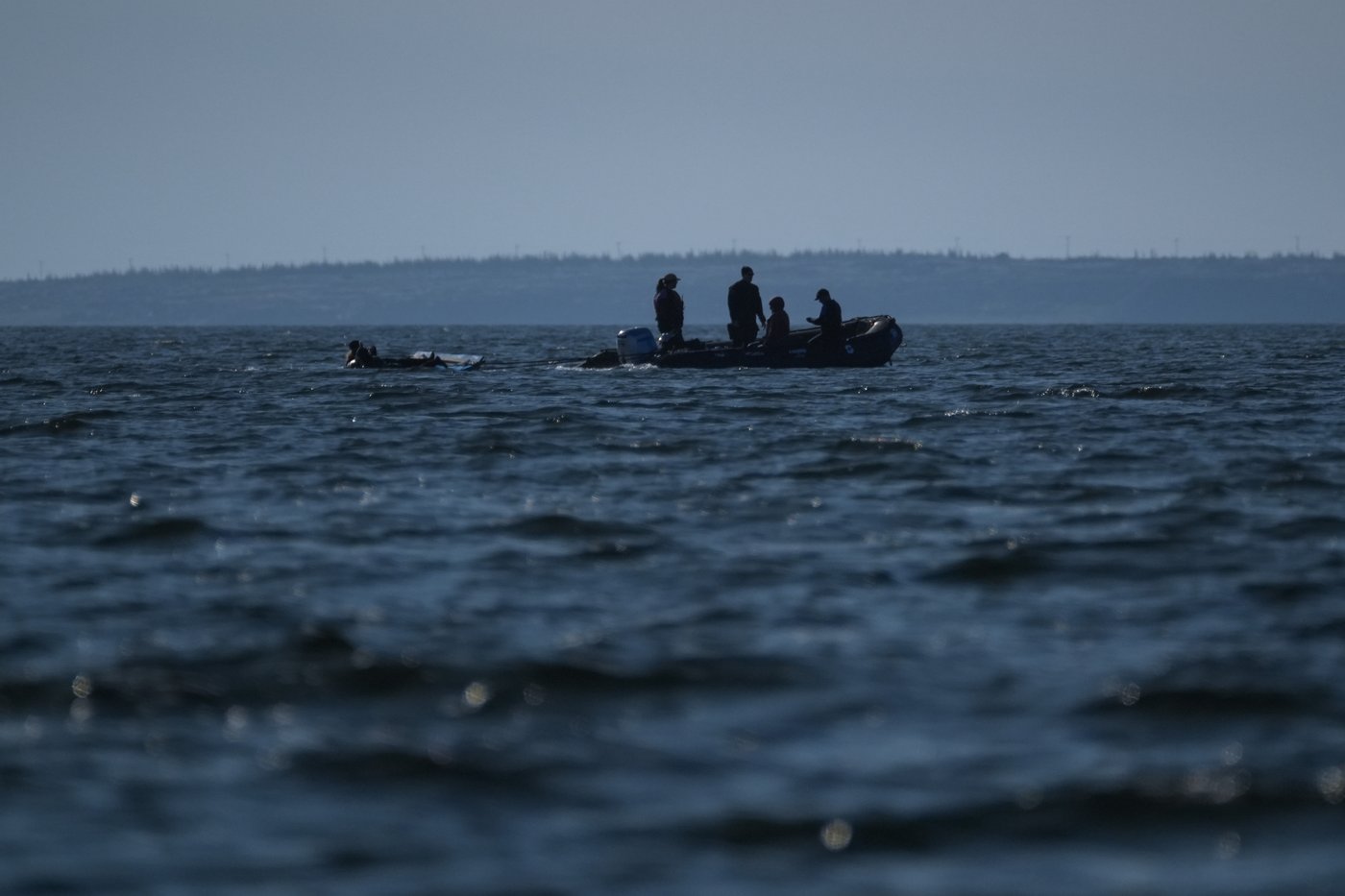 Offering a dose of healing, curious beluga whales frolic in a warming Hudson Bay | iNFOnews.ca