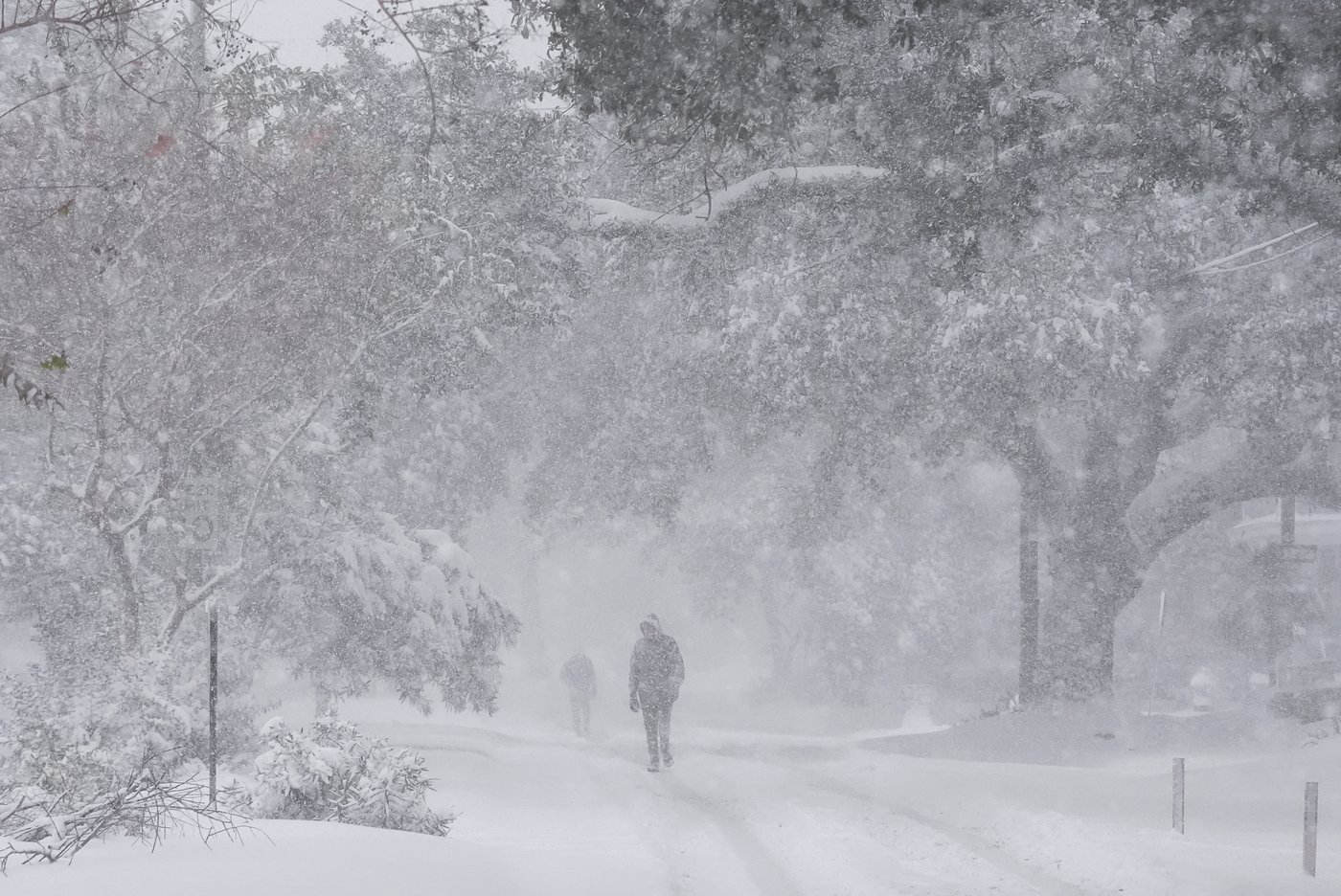 Extreme cold and snow across the South isn't a threat to most native plants and animals, experts say | iNFOnews.ca