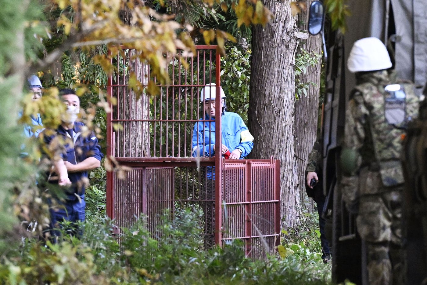 Japan deploys the military to counter a surge in bear attacks | iNFOnews.ca Japan deploys the military to counter a surge in bear attacks | iNFOnews.ca